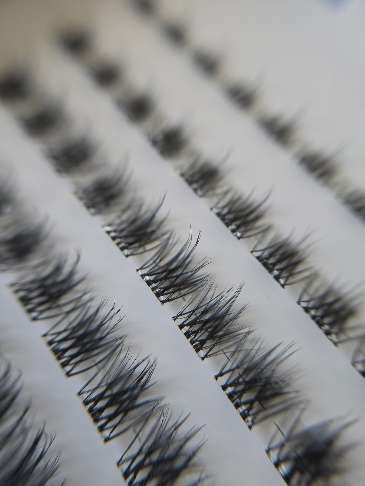 Cloud Lash Essentials Kit
