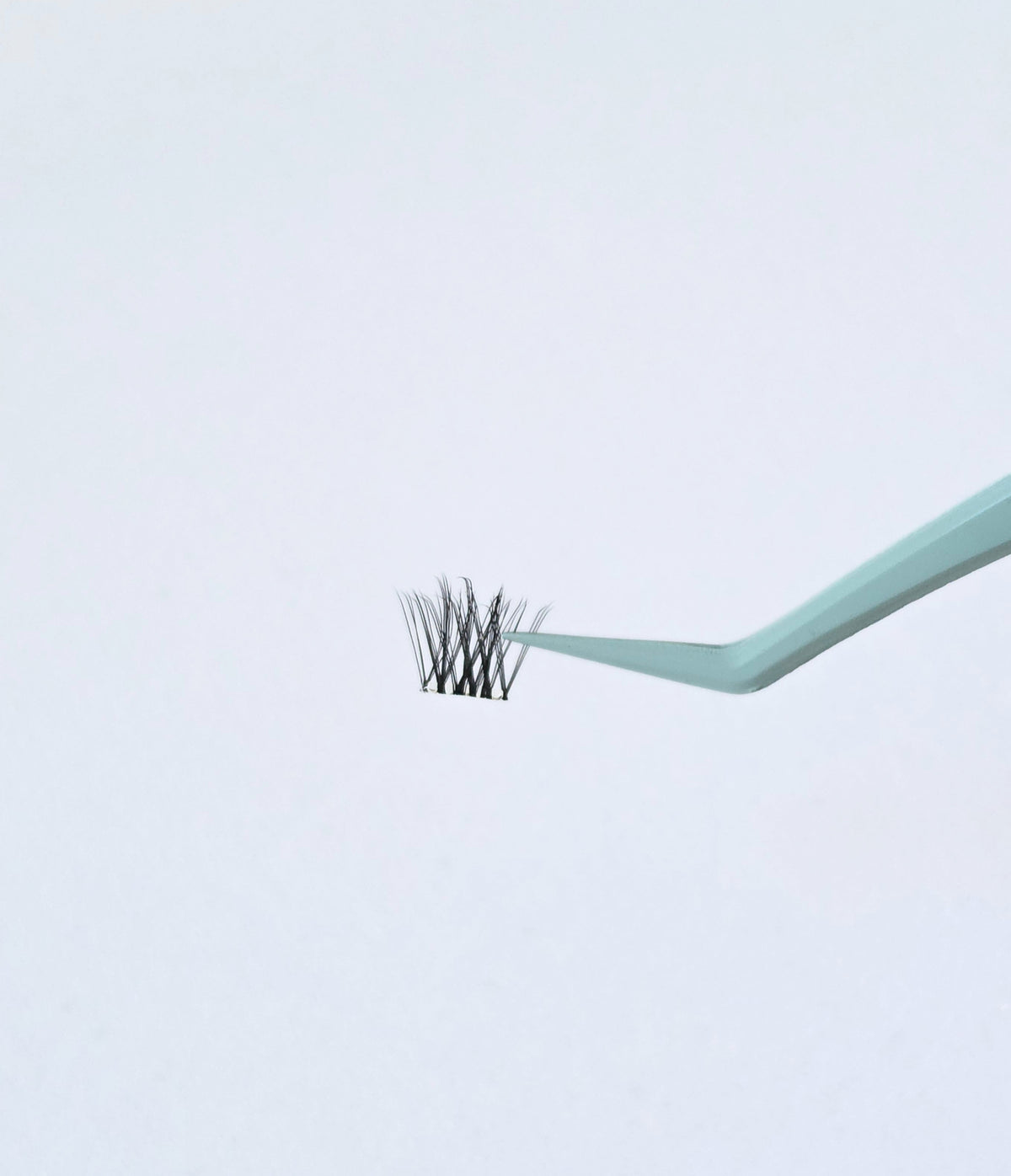 Lash Applicator Tool